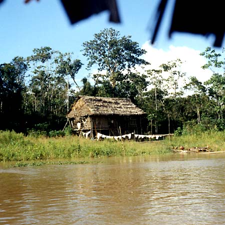 Farm am Amazonasufer