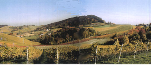 Photo: Franz Melmer, Landschaft
bei Leutschach